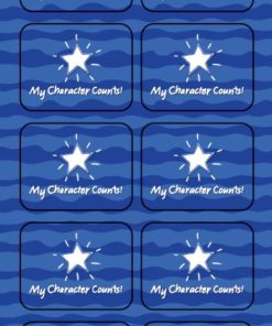 35-6040 CHARACTER COUNTS! Sticker Pack - My CC