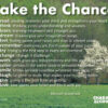 Poem Posters - Take the Chance