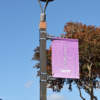 Light Pole Banner - Citizenship - Mililani